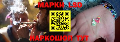шишки Кандалакша