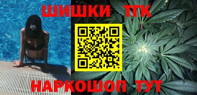 шишки Кандалакша