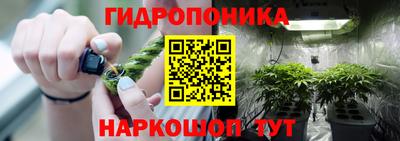 бошки Камышлов