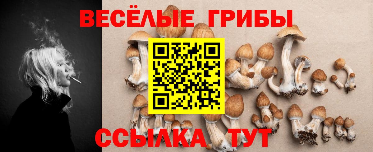 Феодосия  Псилоцибиновые грибы Cubensis  Вход с VPN 