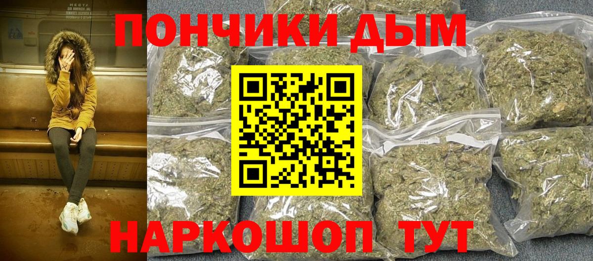 Конопля сатива Феодосия